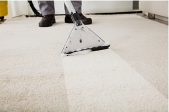 dirty carpet being cleaned with steam cleaner