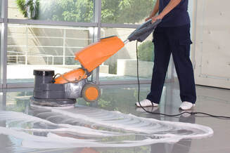 professional carpet cleaner shampooing couch in smithtown new york